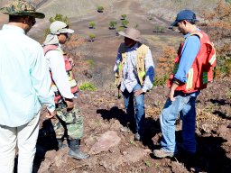 geologists sampling within our tireo project concessions march 2014-8